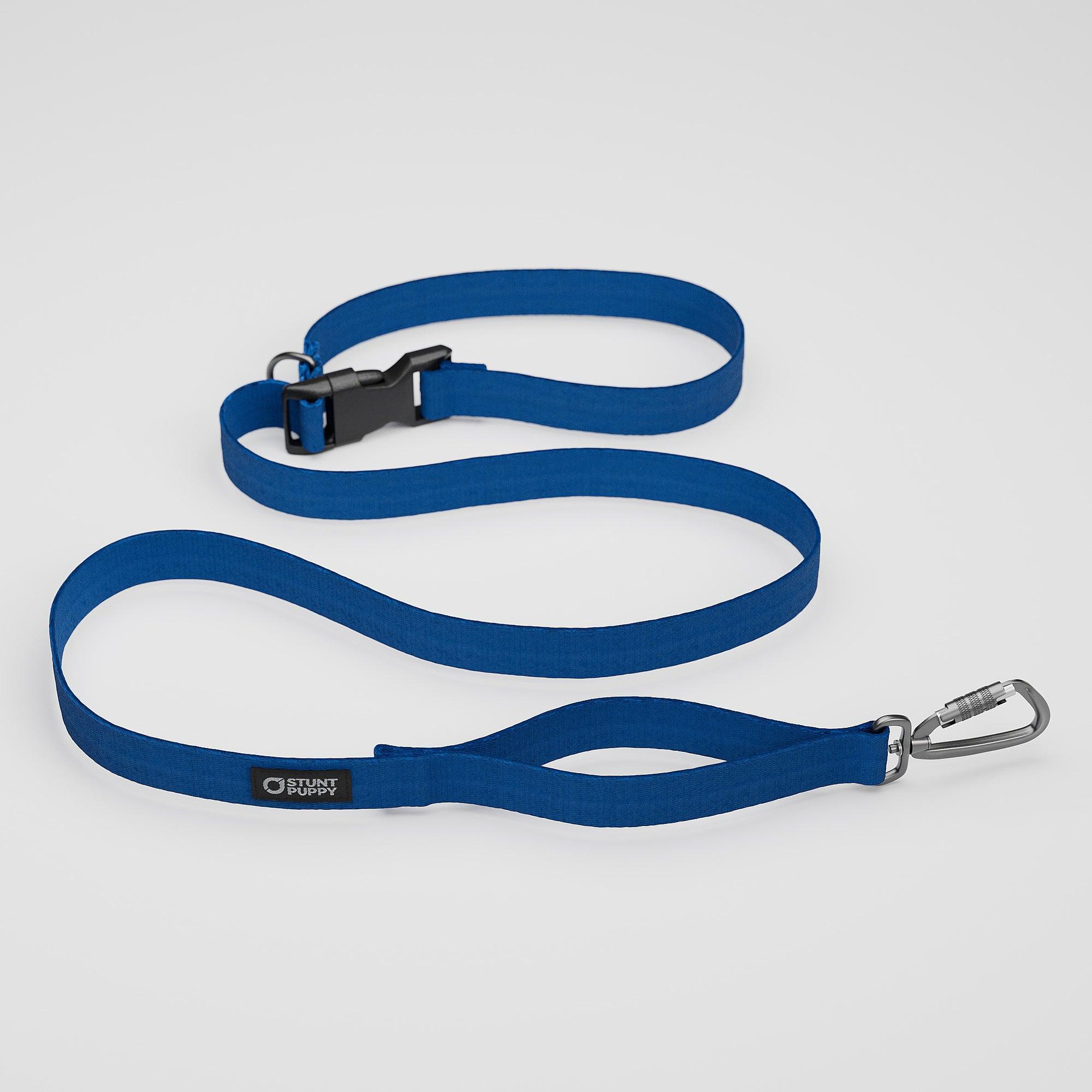 Stunt Puppy Monochrome Everyday Dog Leash, Lake