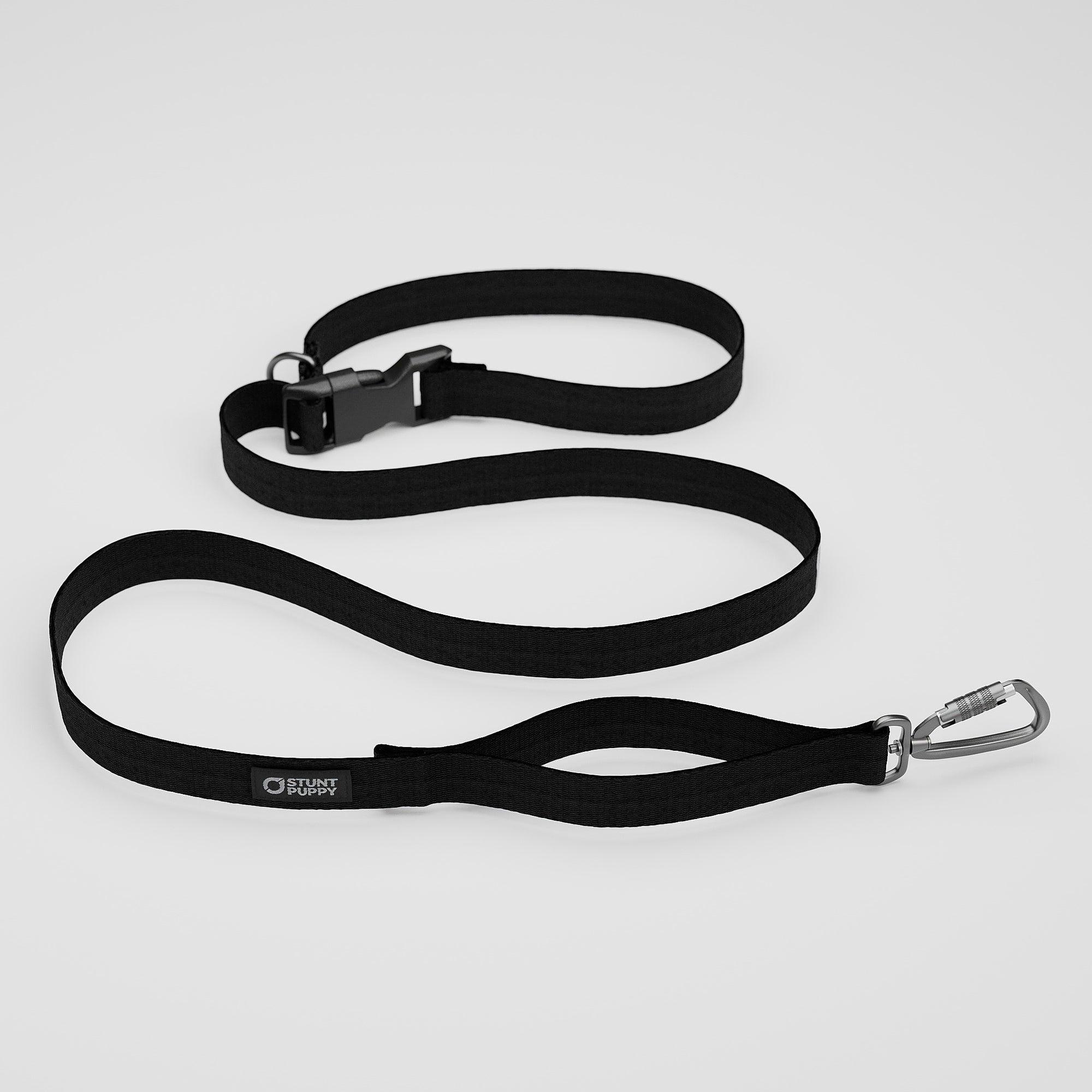 Stunt Puppy Monochrome Everyday Dog Leash, Lights Out, 1-In x 5-ft