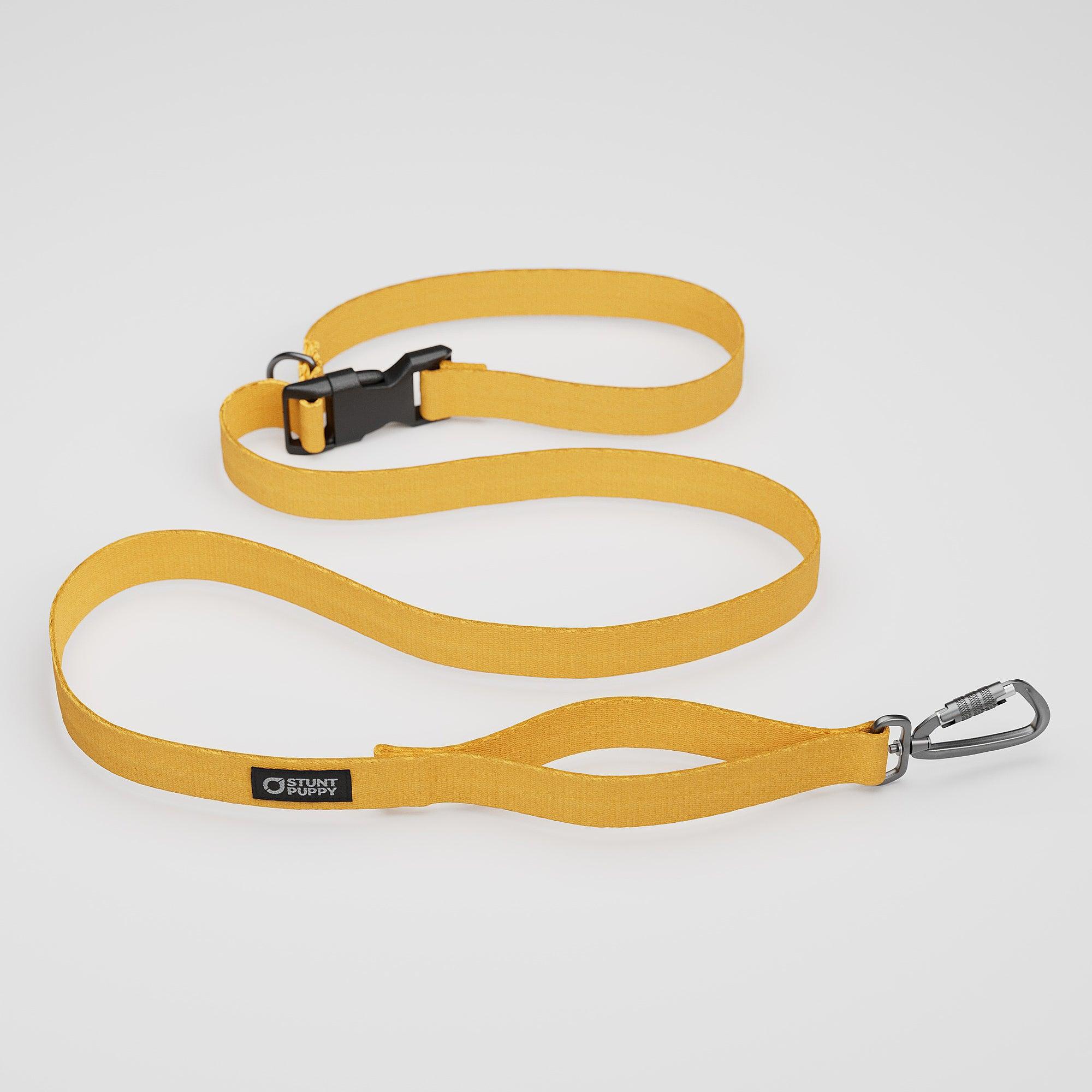 Stunt Puppy Monochrome Everyday Dog Leash, Marigold