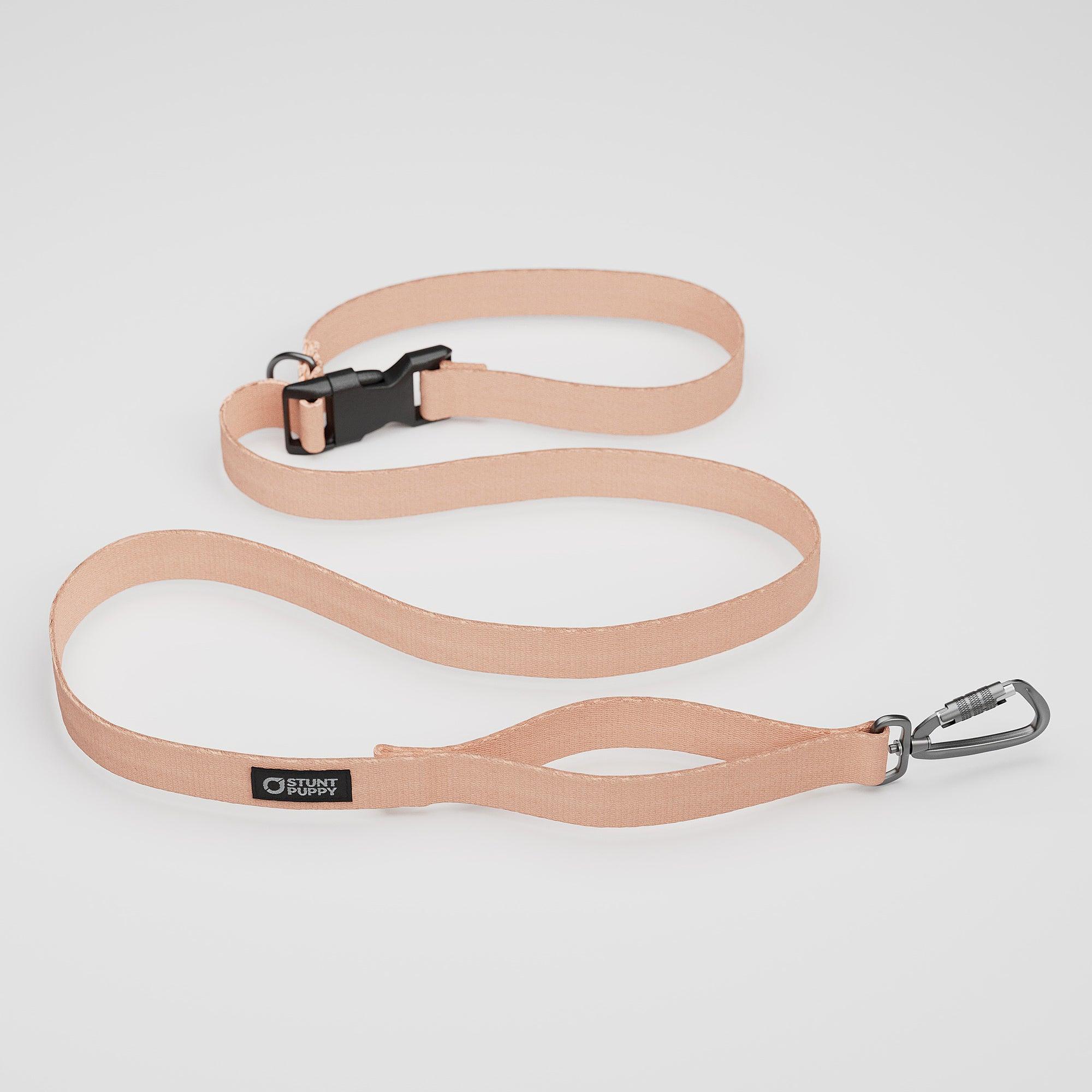 Stunt Puppy Monochrome Everyday Dog Leash, Paloma, 1-In x 5-ft