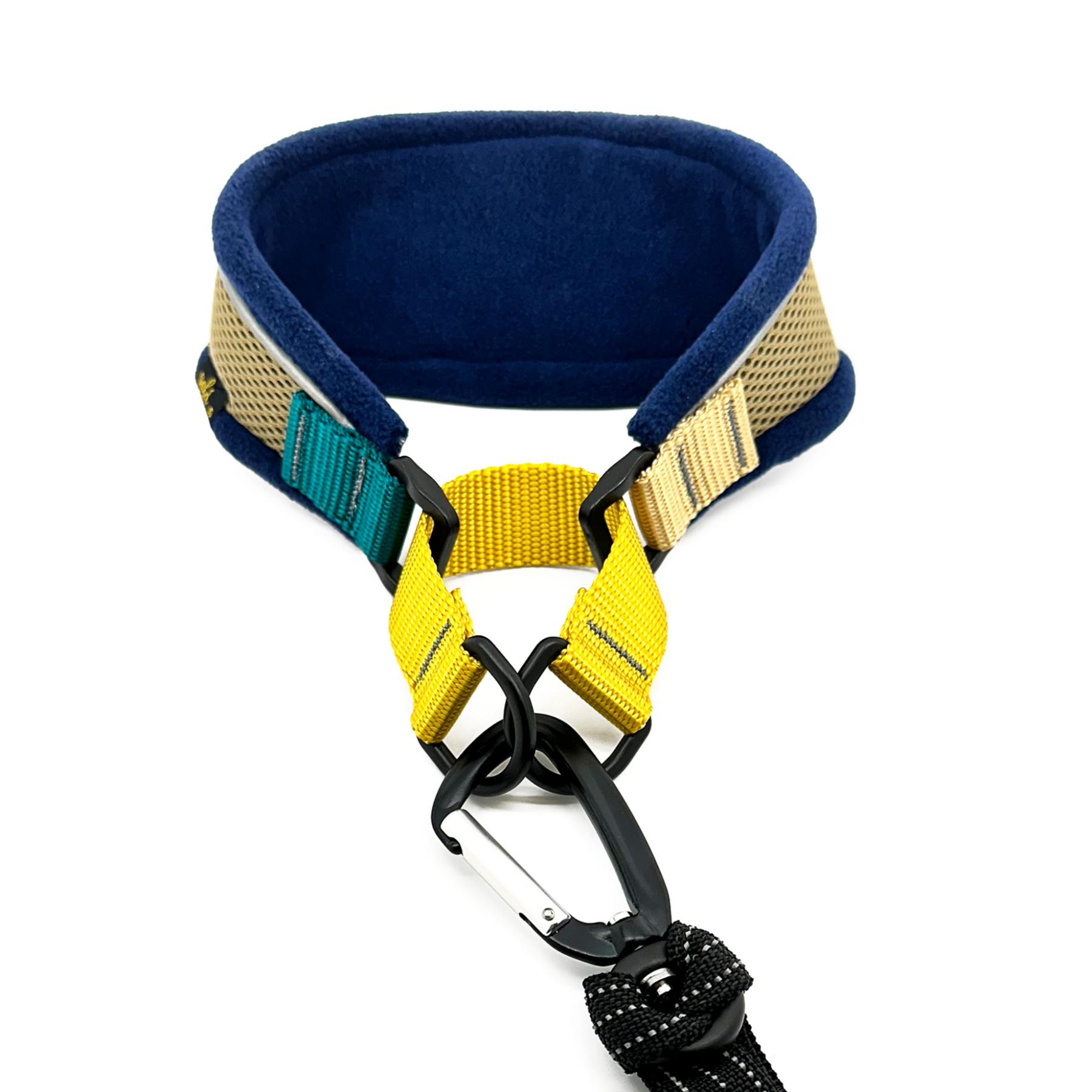 Goldpaw Featherweight Hound Dog Collar, Seattle, Medium