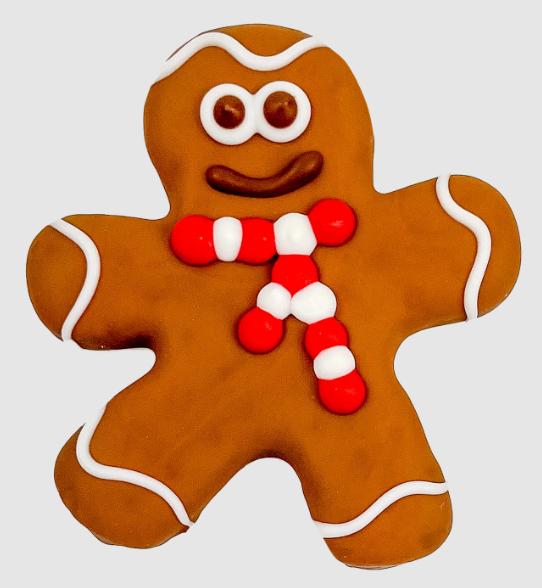 Bosco & Roxy's Christmas Ginger Tail Wagger Dog Treats