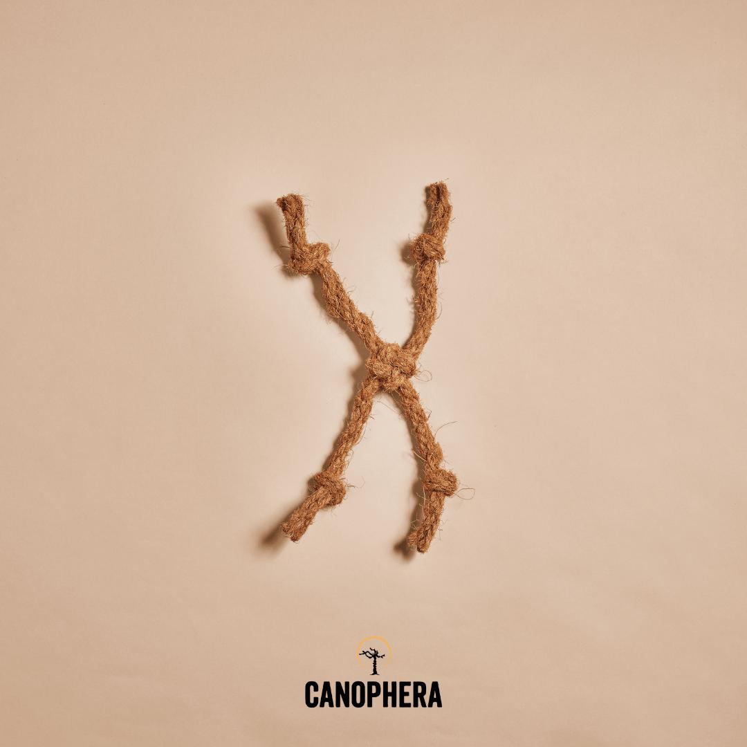 Canophera CocoSpider Coconut Rope Cat Toy, Small