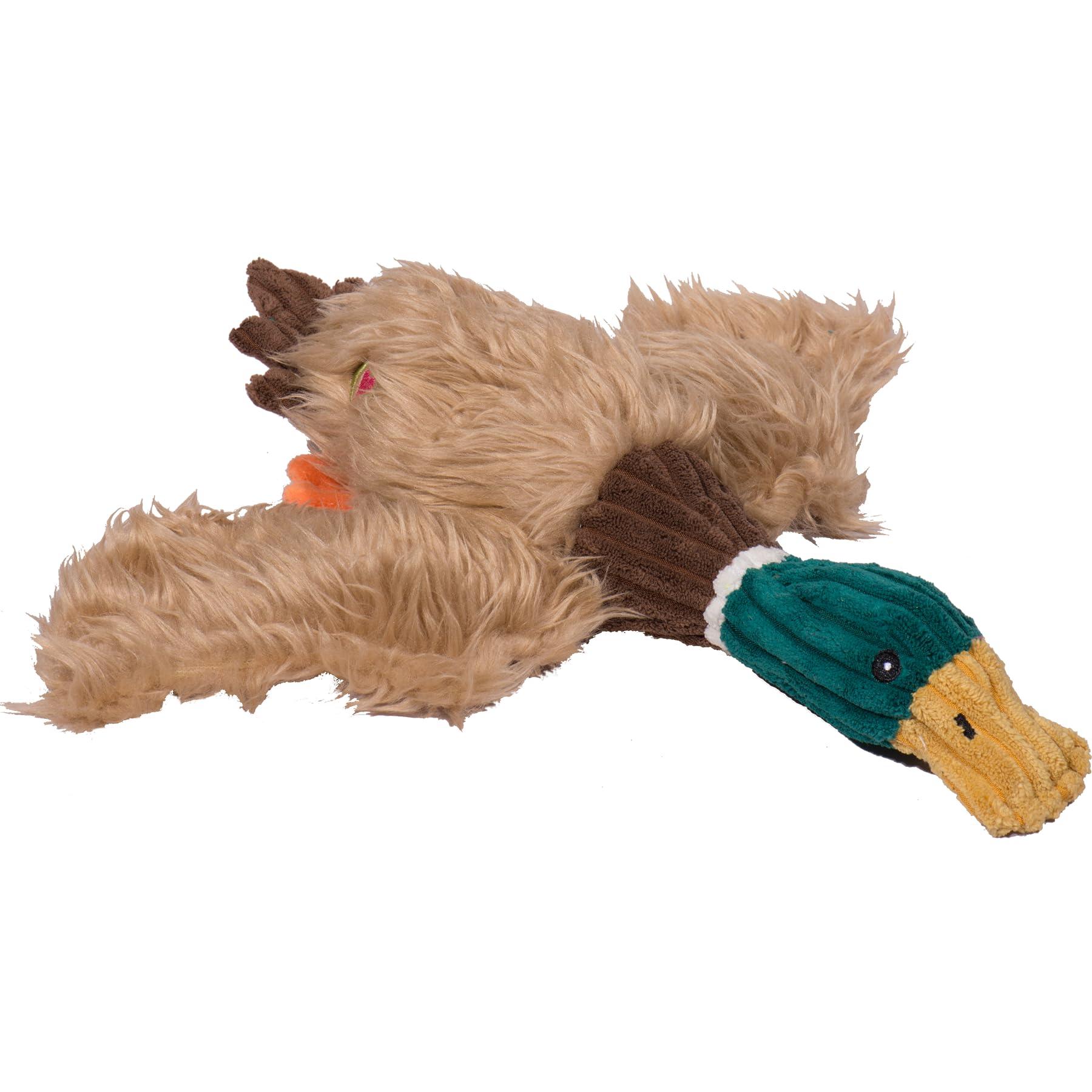 Hugglehounds X-Brace Drake Duck Dog Toy