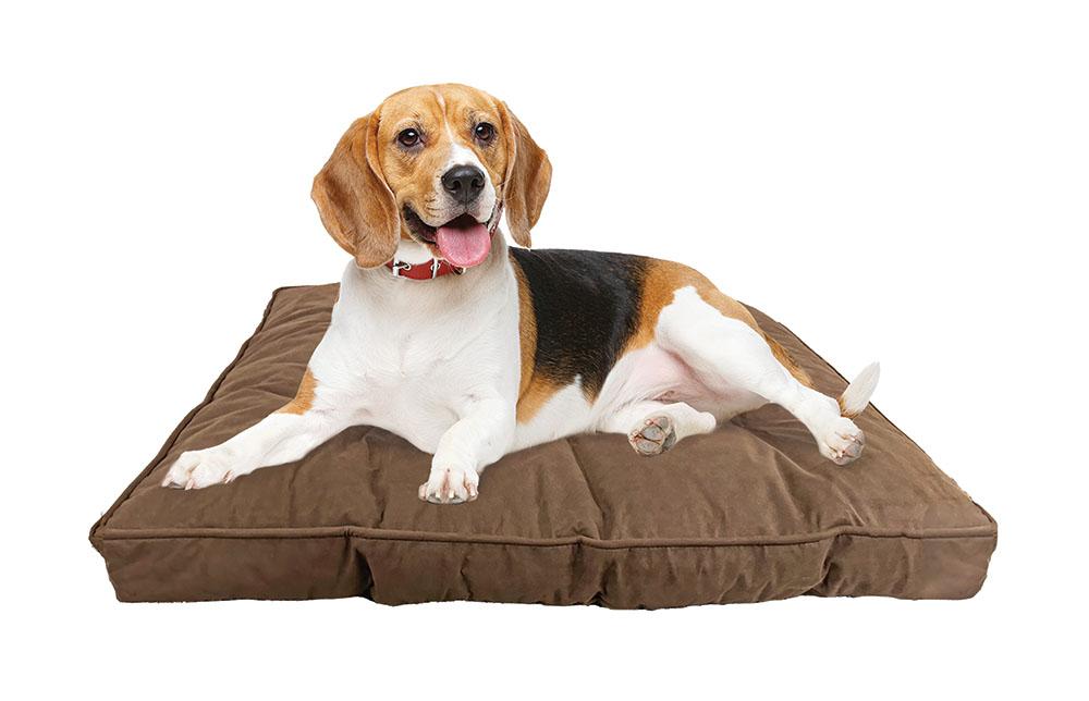 Ethical Spot Sleep Zone Faux Suede Pillow Dog Bed, Chocolate, 32-in