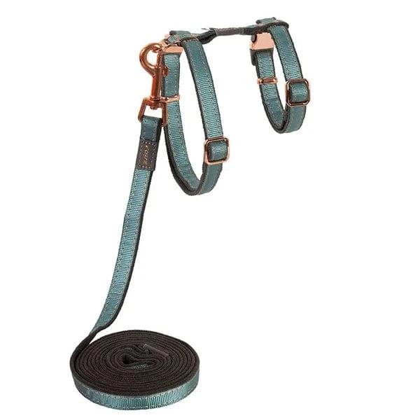 Rogz UrbanCat Cat Harness & Leash, Turquoise