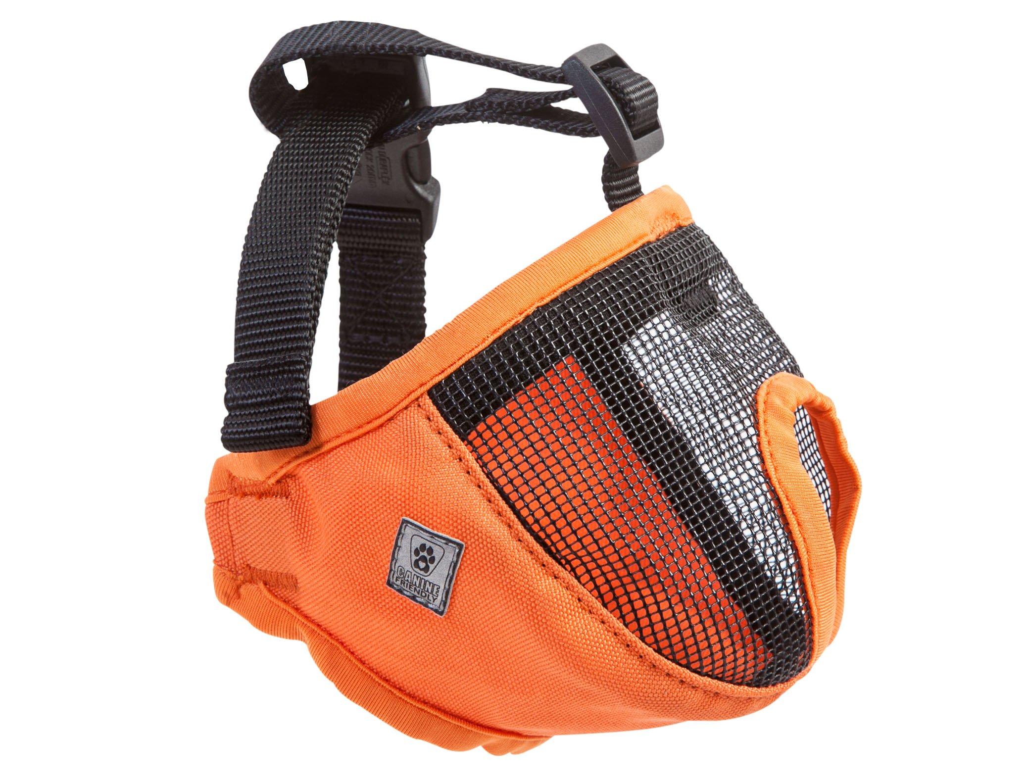 RC Pets Short Snout Dog Muzzle, Orange