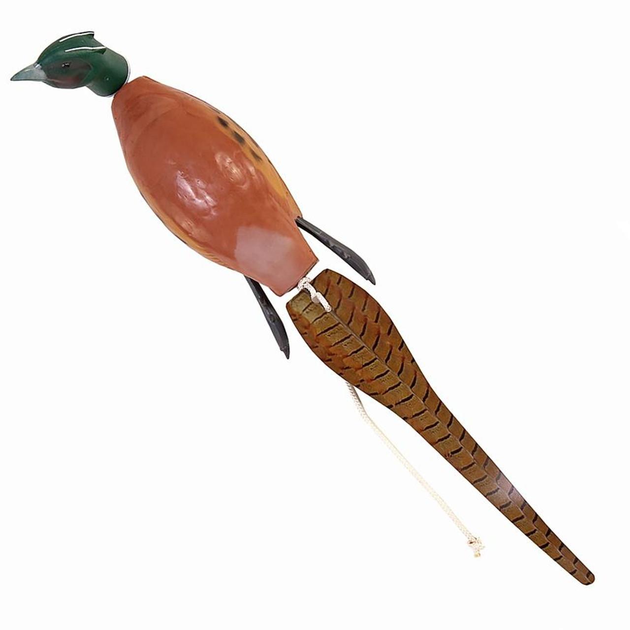 Dokken Pheasant Dead Fowl Trainer for Dogs, 14-in