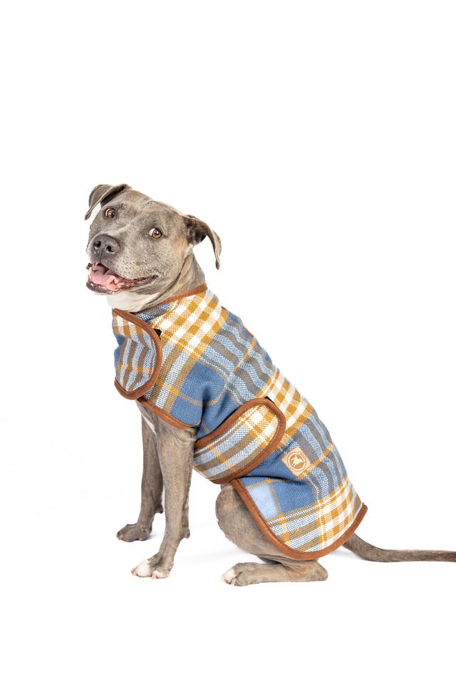 Chilly Dog Blanket Dog Coat, Western Plaid, XX-Large