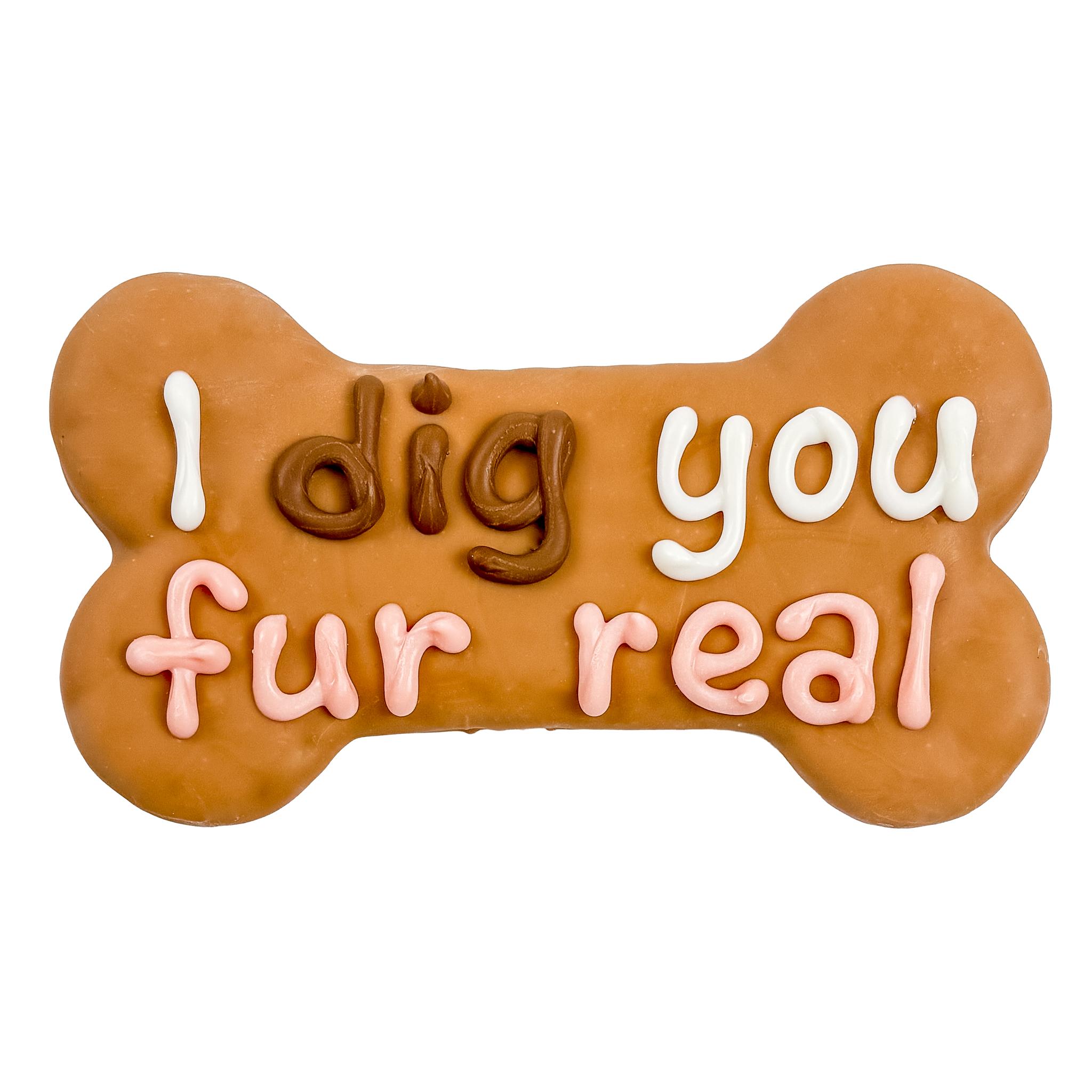Bosco & Roxy's Valentine's Day I Dig You Fur Real Bone Dog Treats, 6-in