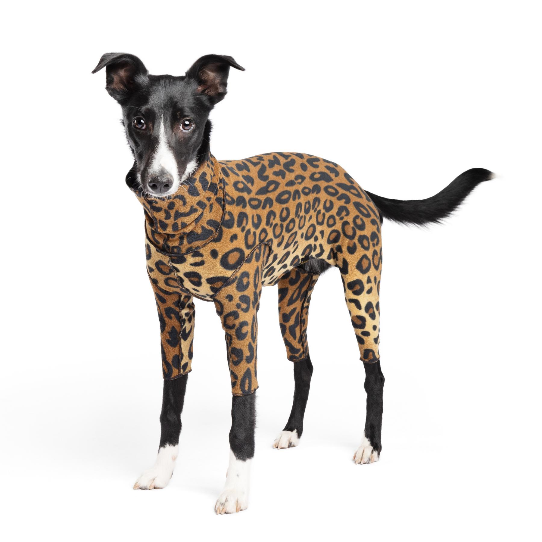 Goldpaw Signature Suit for Dogs, Leopard