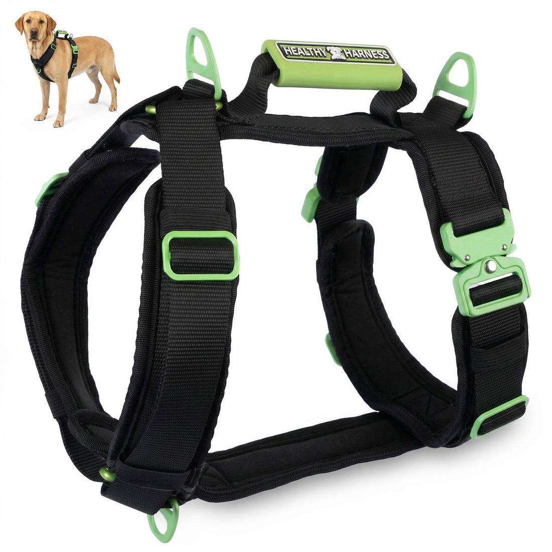 Healthy Harness Ultimate Urban Dog Harness, Black, Medium