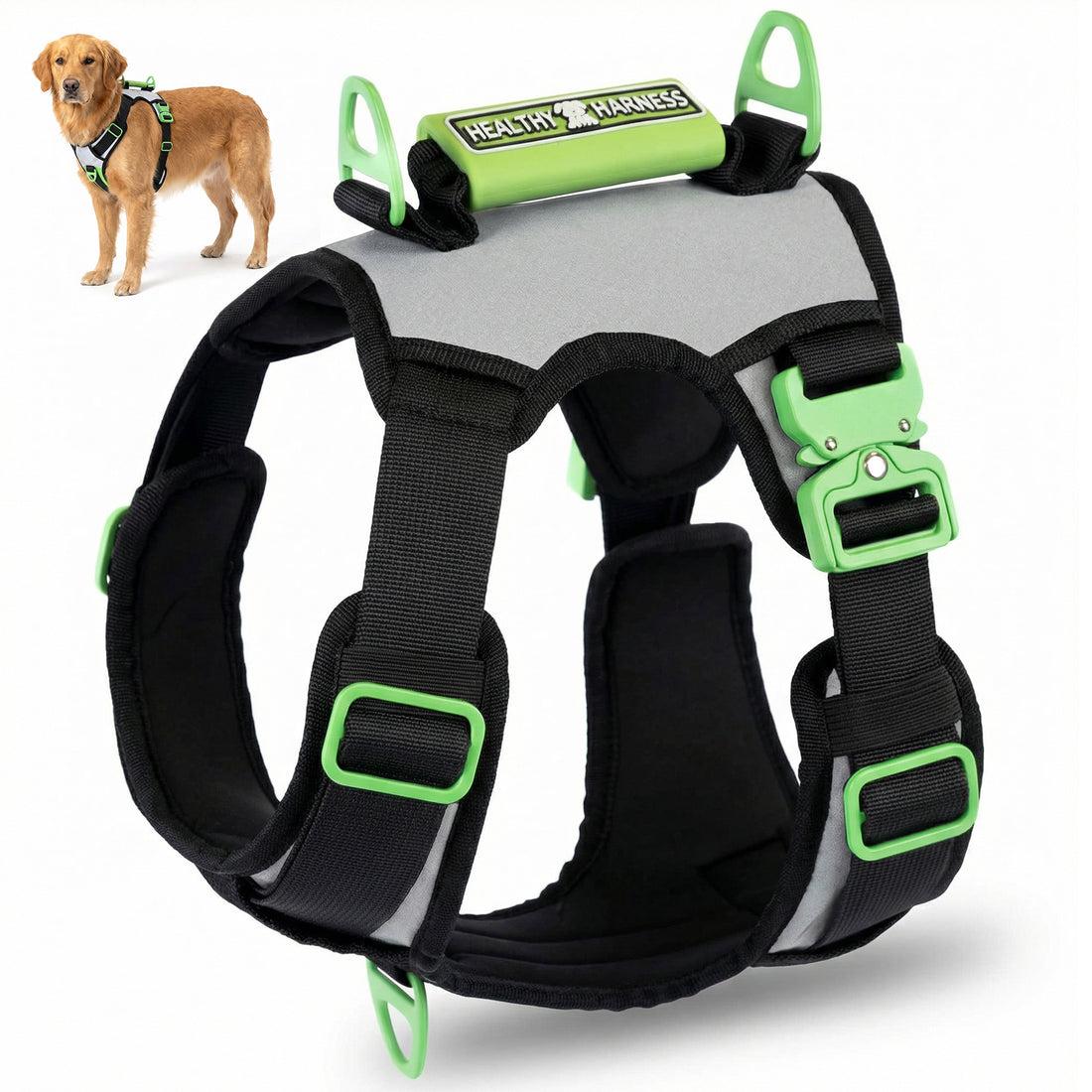 Healthy Harness Supreme Sport Dog Harness, Silver, X-Small
