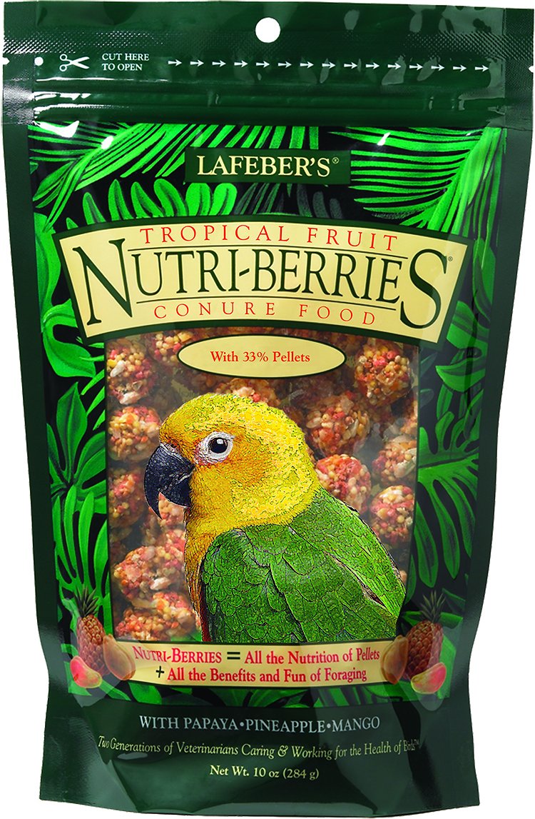 Lafeber Tropical Fruit Nutri-Berries Conure Bird Food, 10-oz