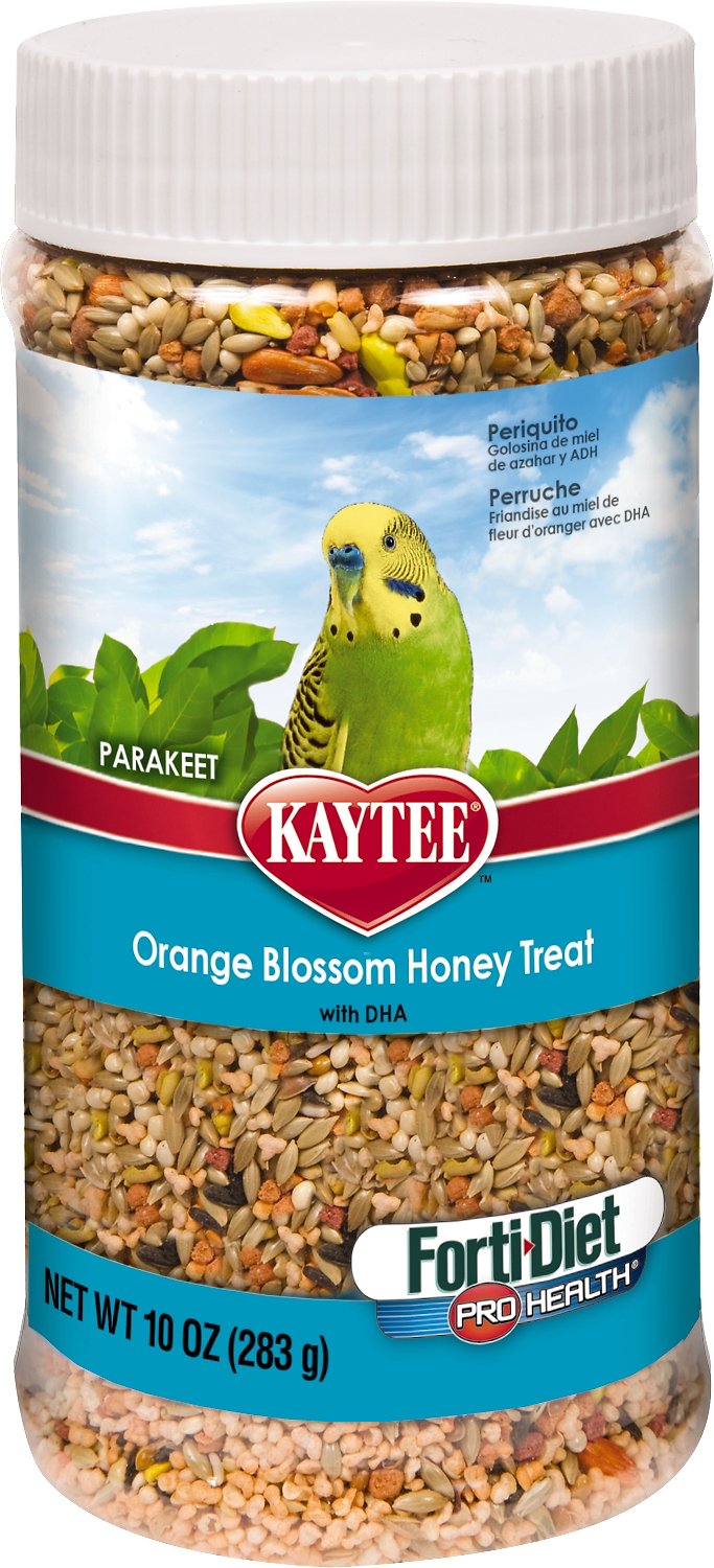 Kaytee bird treats best sale