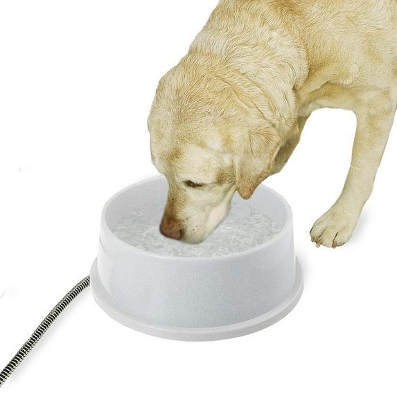 K&H Thermal-Bowl Pet Bowl