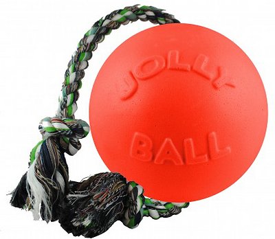 Jolly Pets Romp-n-Roll Dog Toy, Orange, 8-in
