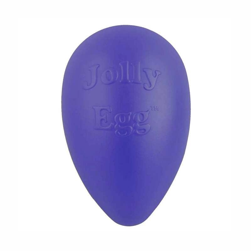 Jolly Pets Jolly Egg Dog Toy, Purple