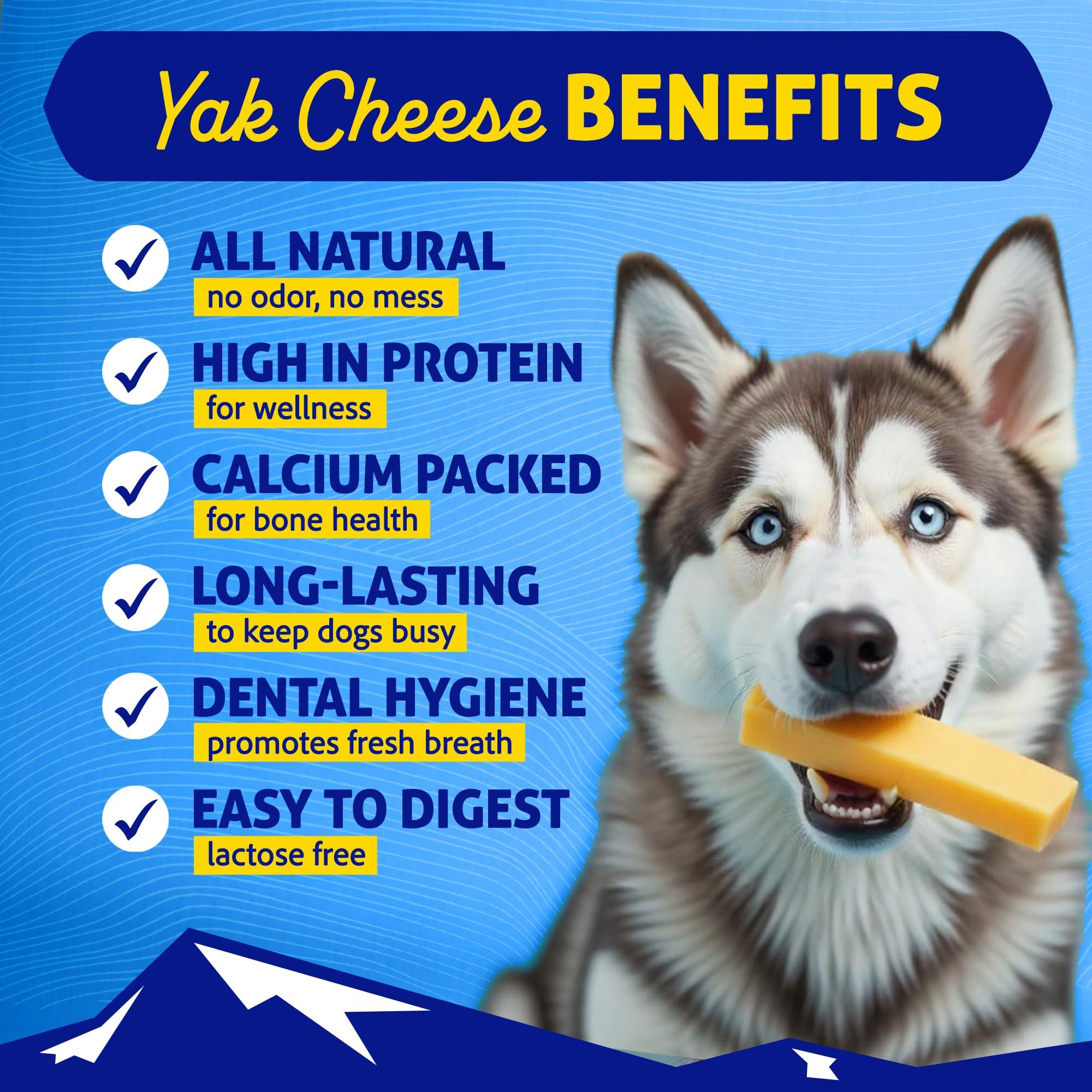 Himalayan Pet Supply The Original Himalayan Dog Chew Yak Cheese Dog Treats, Medium, 1-pk