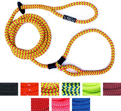 Harness Lead Dog Harness & Lead, Lotus Pink/Lime, Small/Medium
