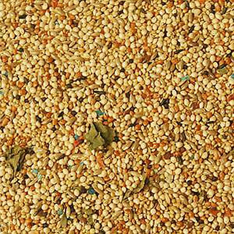 Volkman Avian Science Finch Food, 2-lb