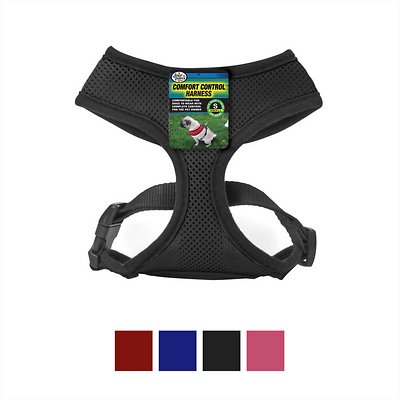 Four Paws Comfort Control Dog Harness, Black, Small