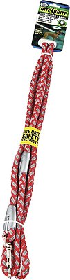 Four Paws Nite Brite Reflecting Dog Leash, Red, Large