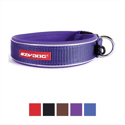 EzyDog Neo Classic Dog Collar, Purple, X-Large