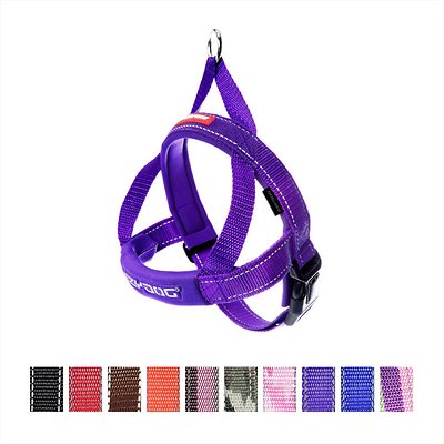 EzyDog Quick Fit Dog Harness, Purple, Medium