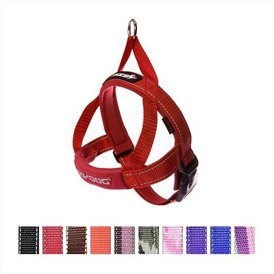 EzyDog Quick Fit Dog Harness, Red, Small