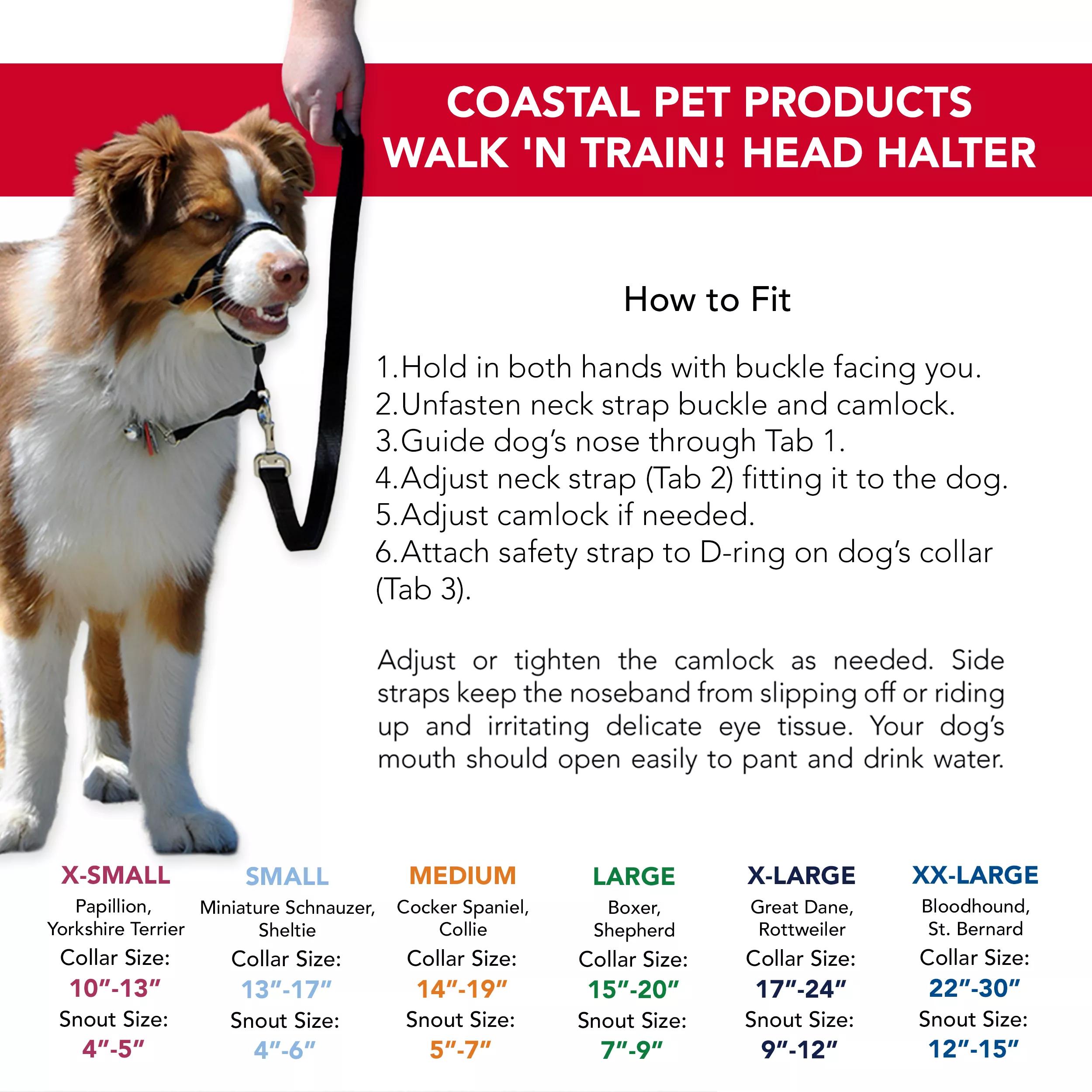 Coastal Walk 'n Train! Dog Head Halter, Black