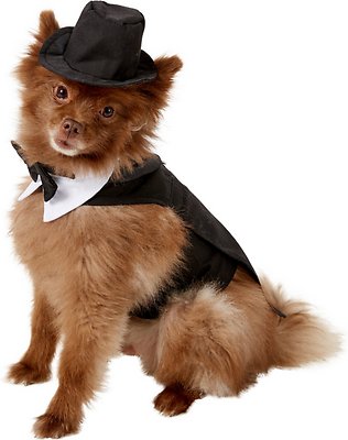 Doggie Design Dog Tuxedo with Matching Hat & Collar, Medium