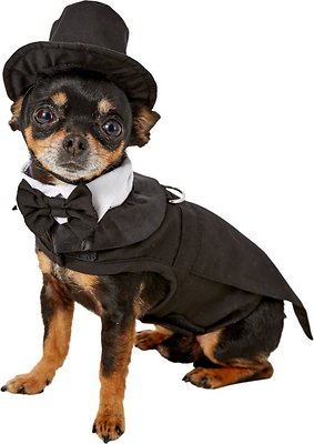 xx small dog clothes