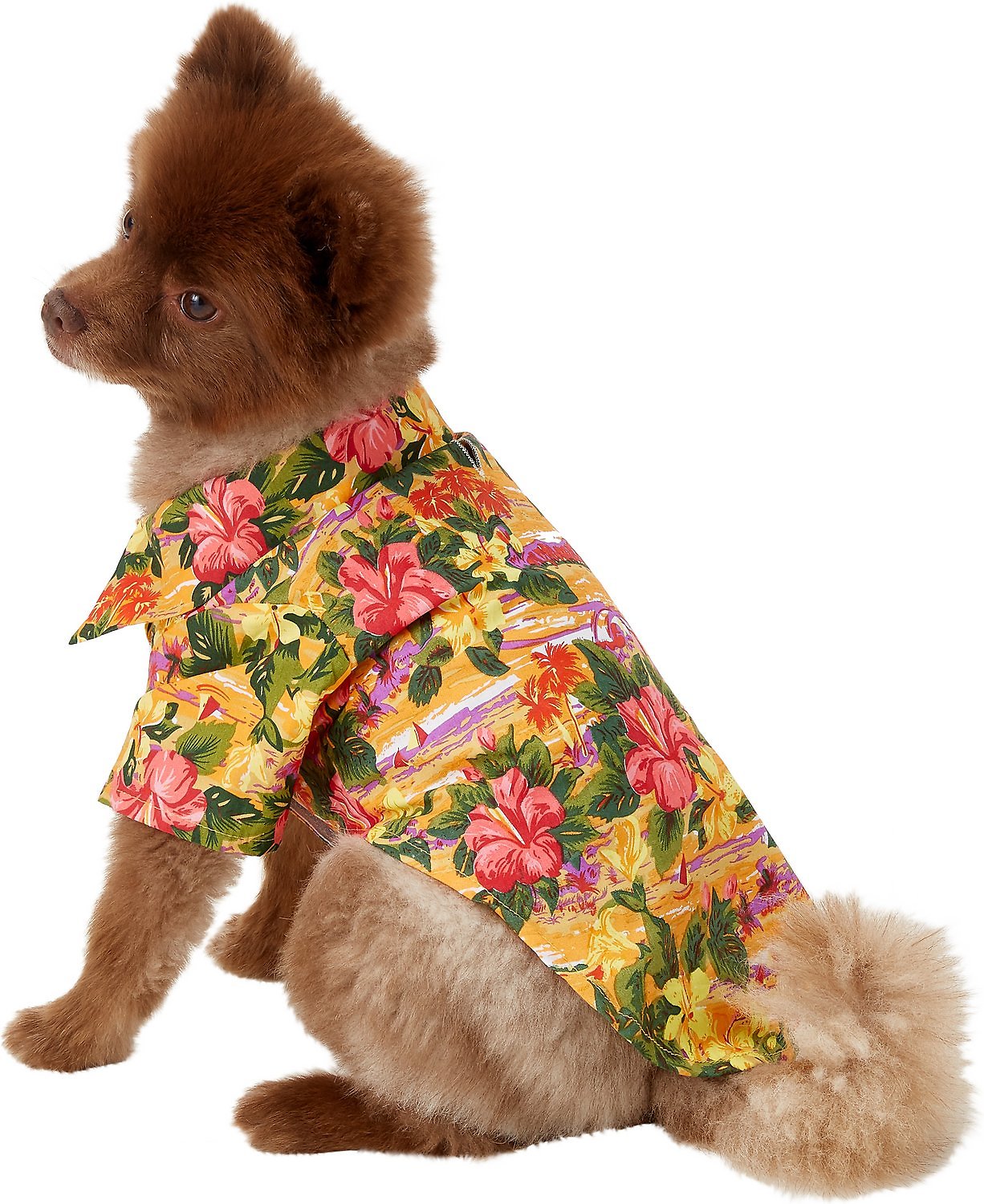 Doggie Design Hawaiian Camp Shirt for Dogs, Sunset Hibiscus