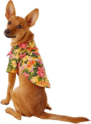 Doggie Design Hawaiian Camp Shirt for Dogs, Sunset Hibiscus, X-Small