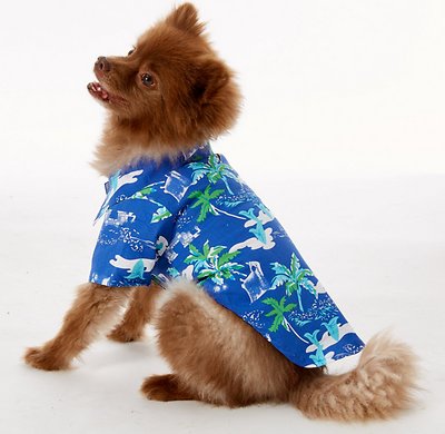 Doggie Design Hawaiian Camp Shirt for Dogs, Ocean Blue & Palms, Medium