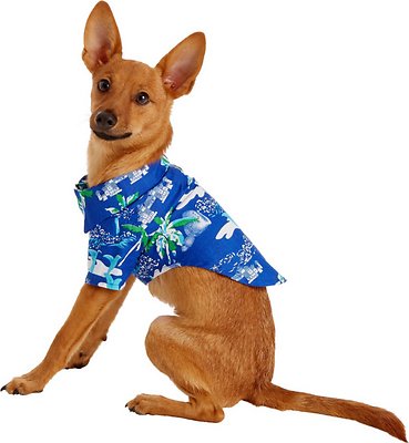 Doggie Design Hawaiian Camp Shirt for Dogs, Ocean Blue & Palms, X-Small