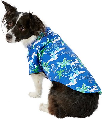 Doggie Design Hawaiian Camp Shirt for Dogs, Ocean Blue & Palms, Large
