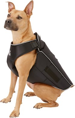 Comfy Wrap for Dogs, Medium
