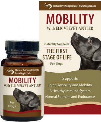 Wapiti Labs Mobility Formula Dog Powder Supplement, 0.53-oz bottle