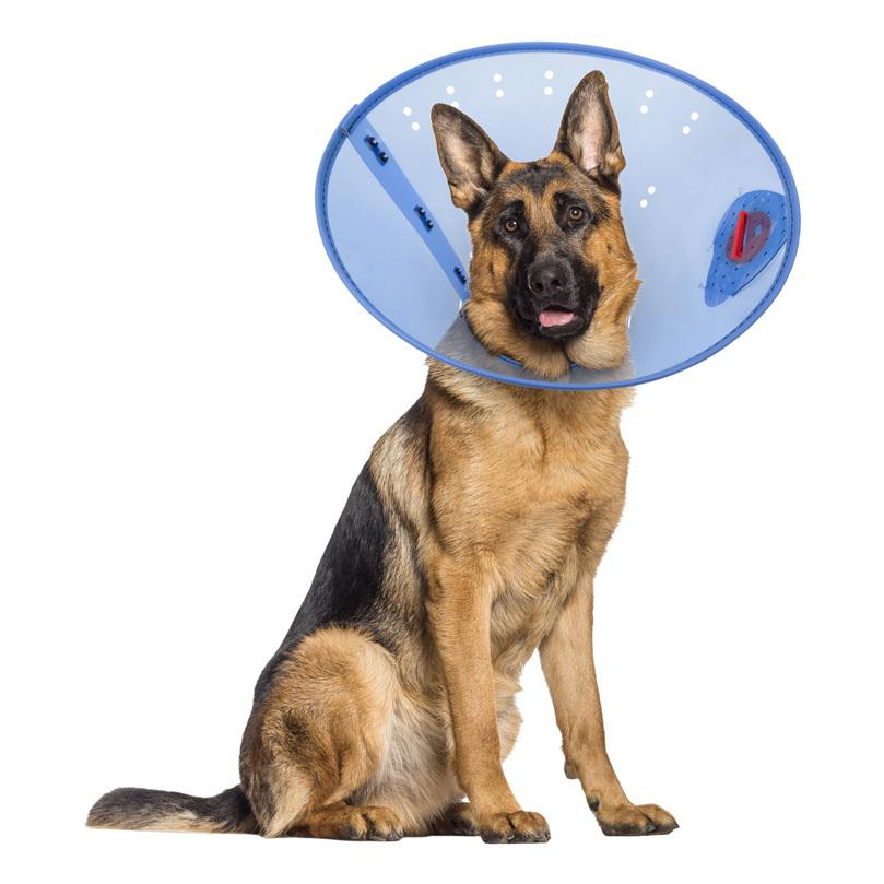 Calm Paws Calming Dog E-Collar, X-Large