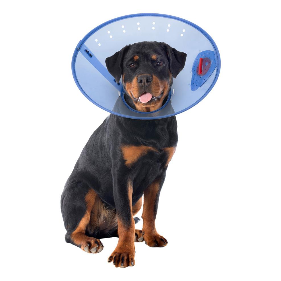 Calm Paws Calming Dog E-Collar, Large