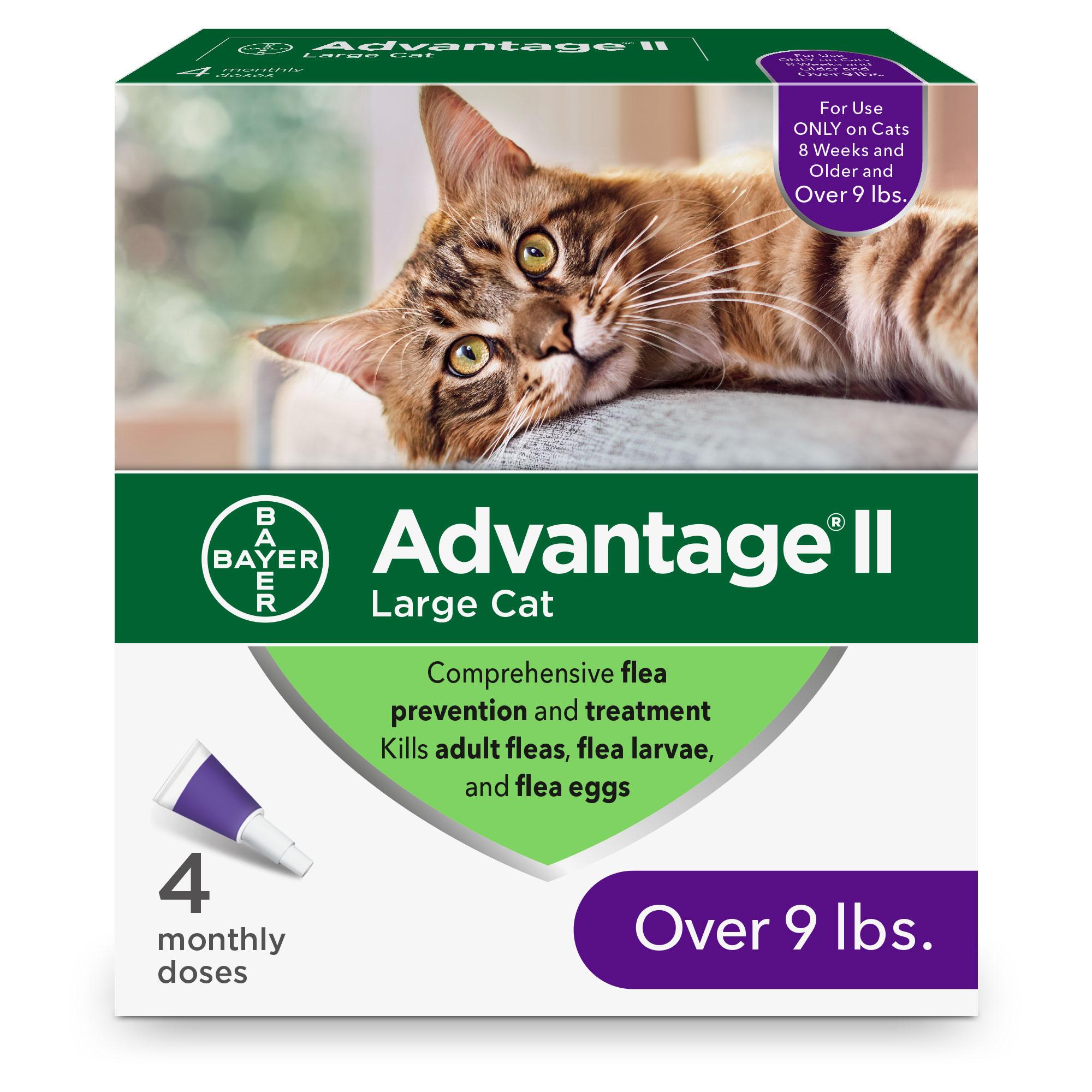 advantage 2 large cat 4 pack