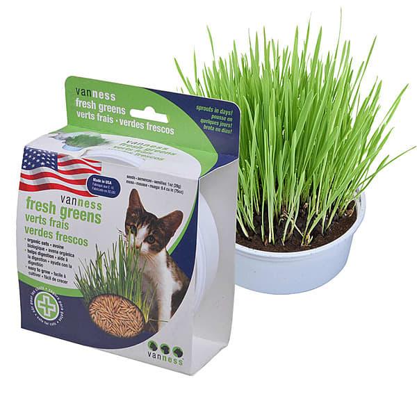 Van Ness Oat Garden Kit for Cats, 1-oz (Size: 1-oz)