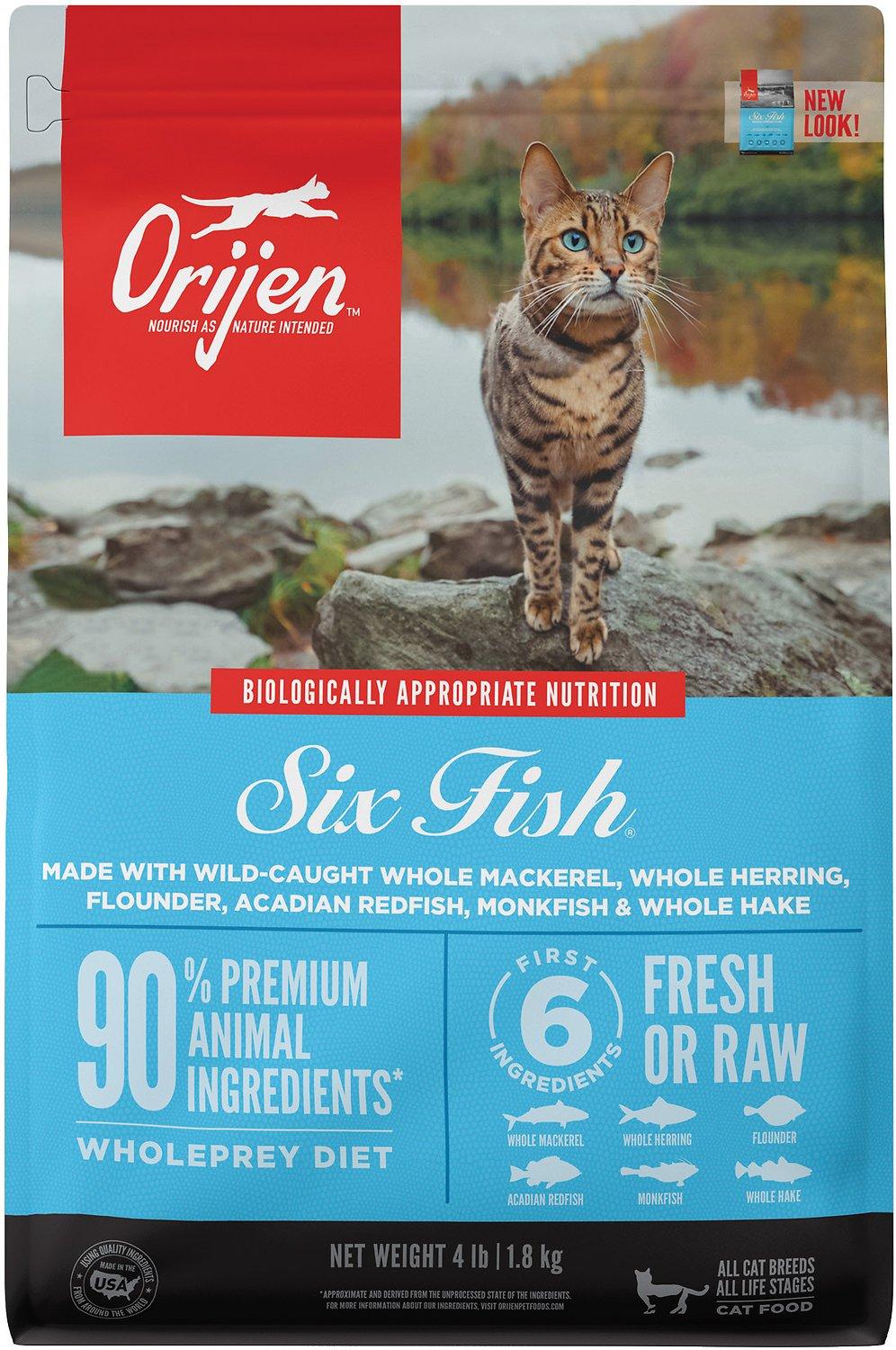 Whole cat outlet food