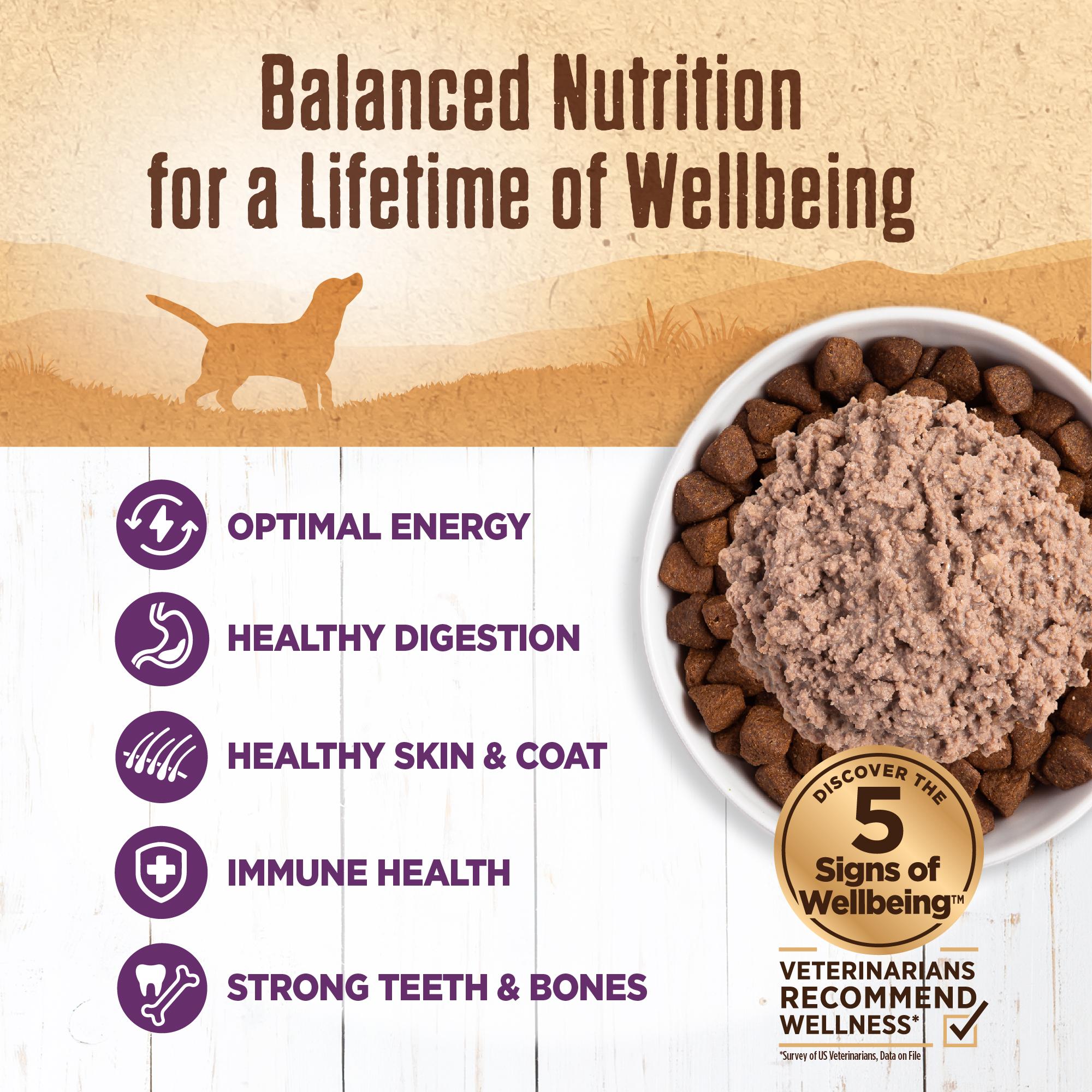 Wellness 95% Chicken Grain-Free Wet Dog Food Can, 13.2-oz