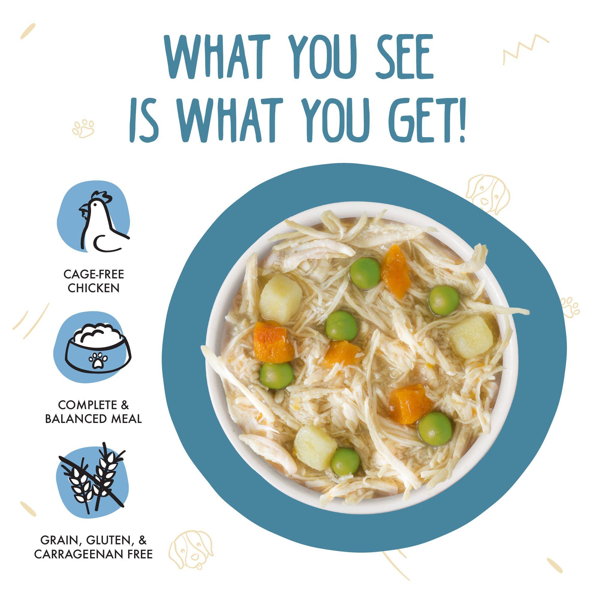 Weruva Classic Dog Grandma's Chicken Soup with Chicken & Veggies Wet Dog Food Can, 14-oz