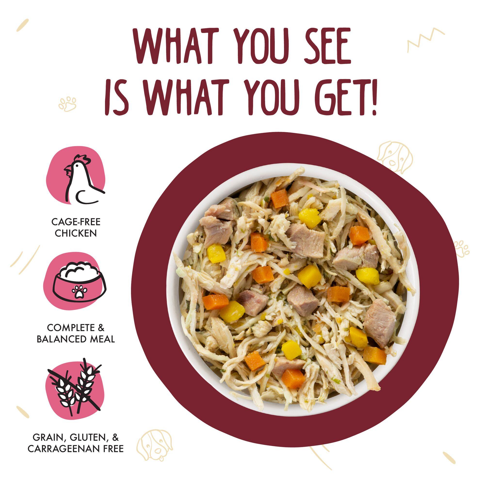 Weruva Classic Dog Peking Ducken with Chicken & Duck in Gravy Wet Dog Food Can, 14-oz