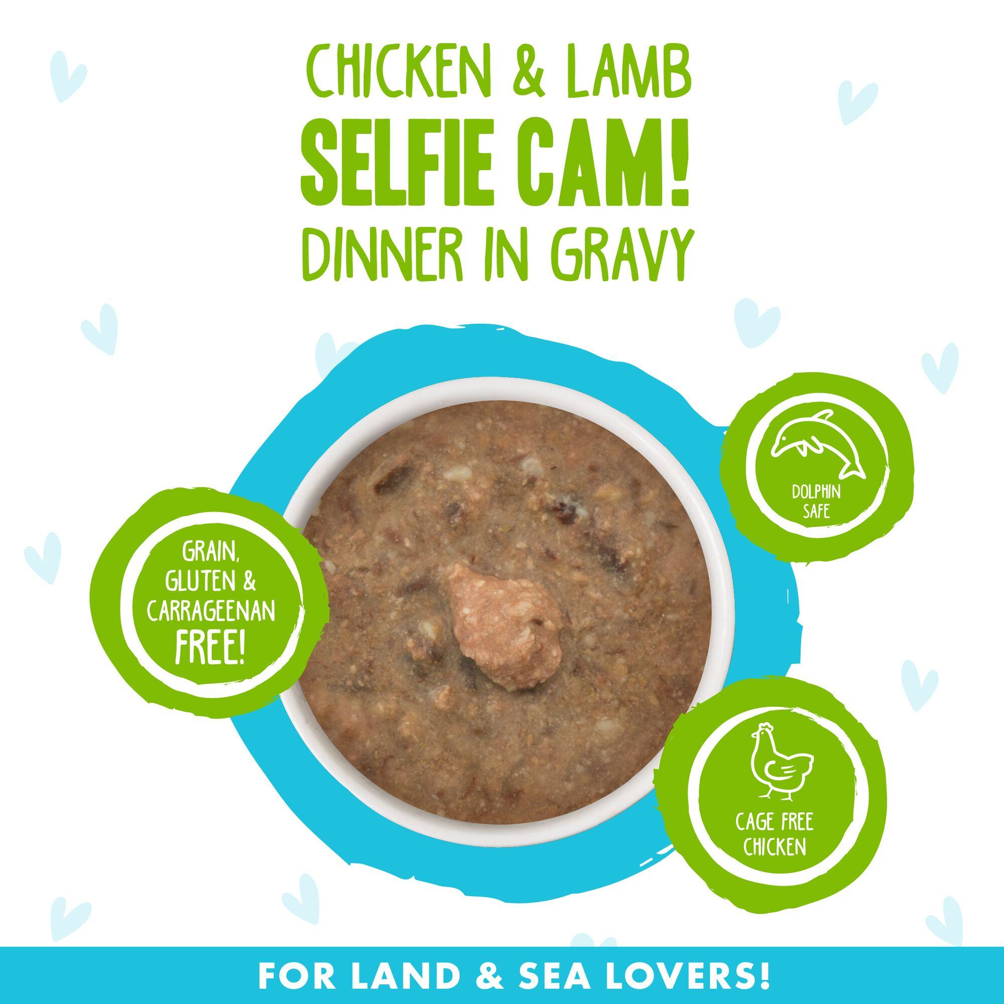 BFF OMG GRAVY Chicken & Lamb Selfie Cam! Dinner in Gravy Wet Cat Food Can, 5.5-oz