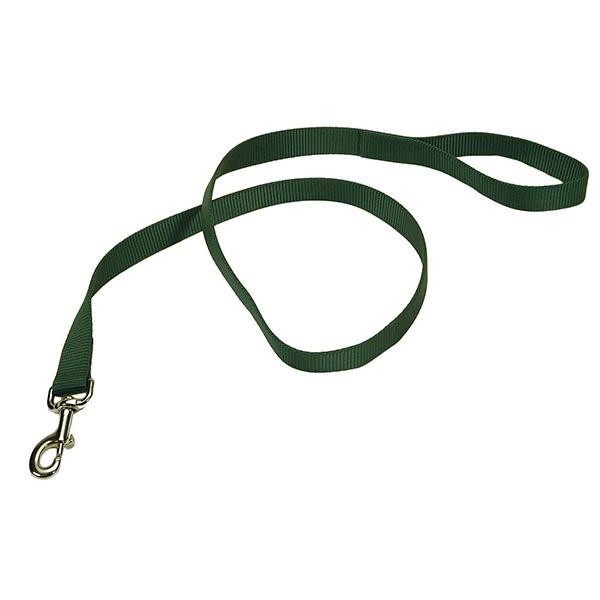 Coastal Single-Ply Dog Leash, Hunter, 5/8-in Wide x 6-ft Long